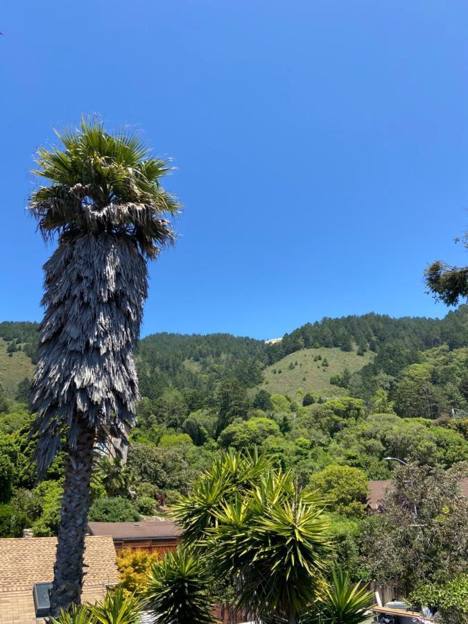 1 Belvedere Ave Muir Woods Mt Tamalpais Bolinas Lagoon Stinson Beach Exterior photo